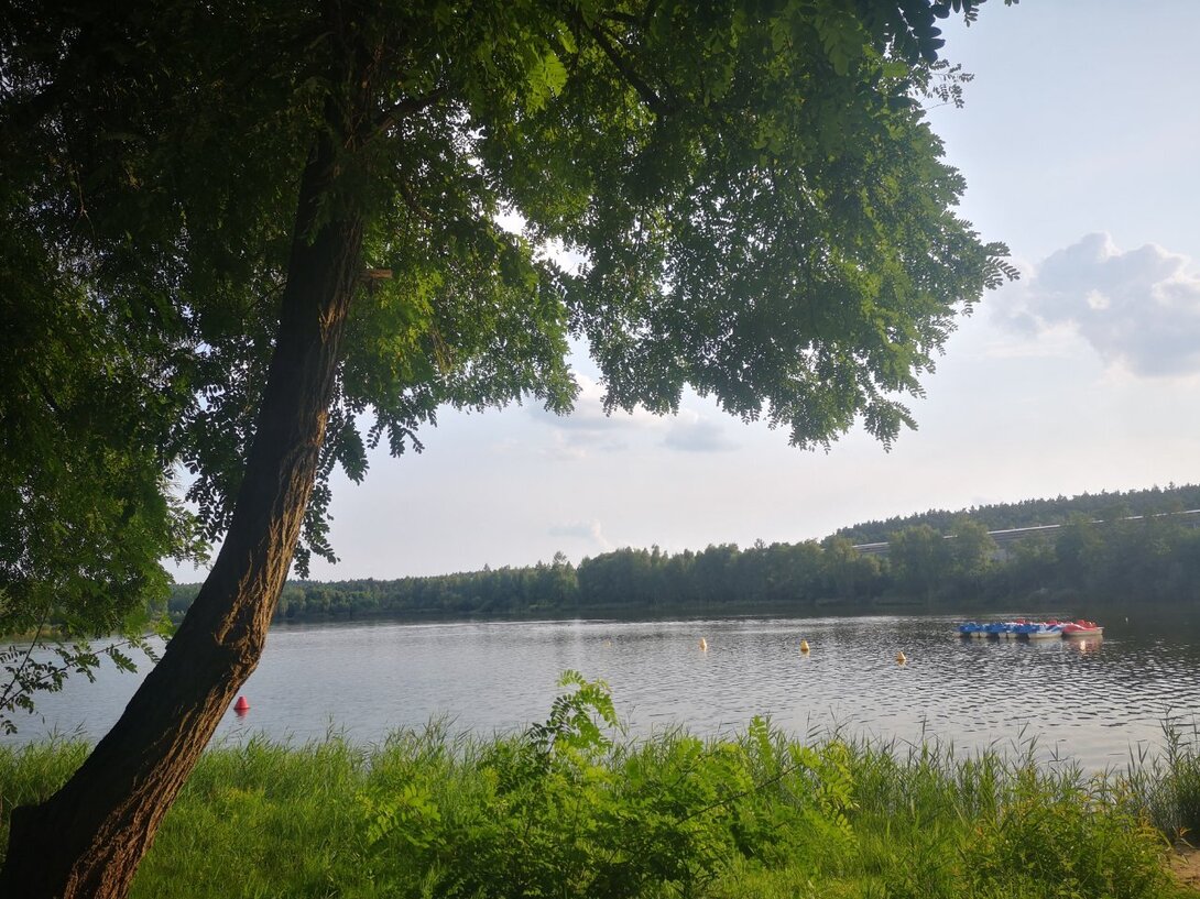 IMG_20210822_172717.jpg