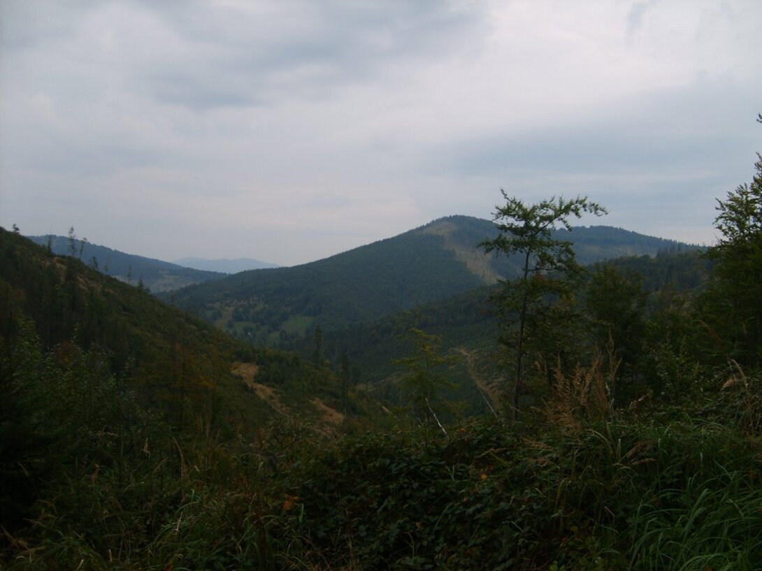 S5003685.JPG