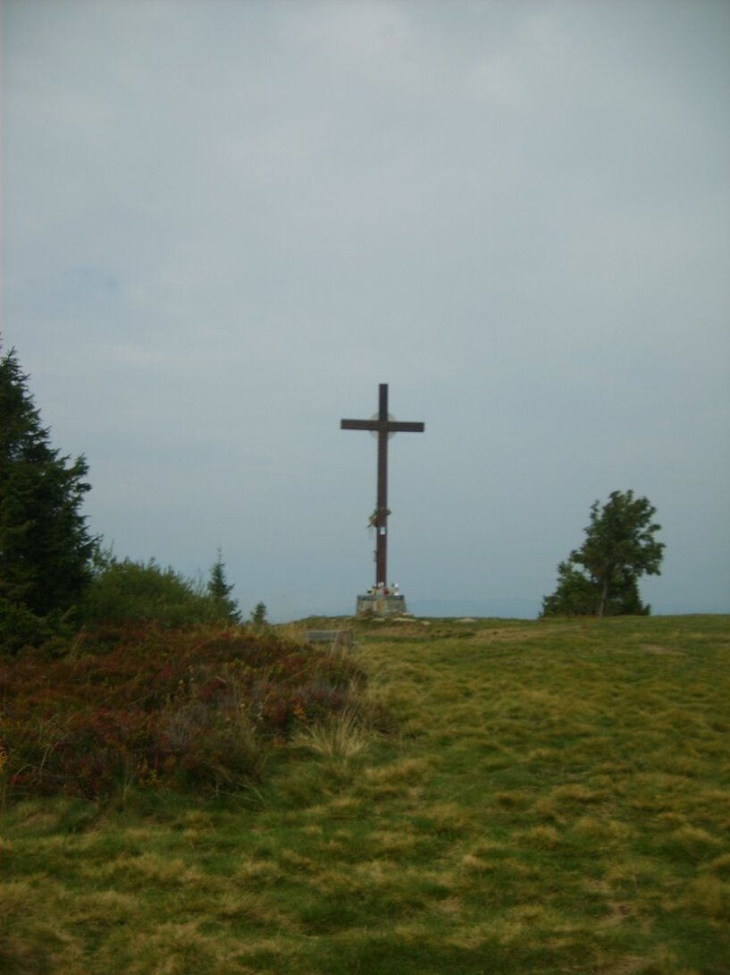 S5003686.JPG