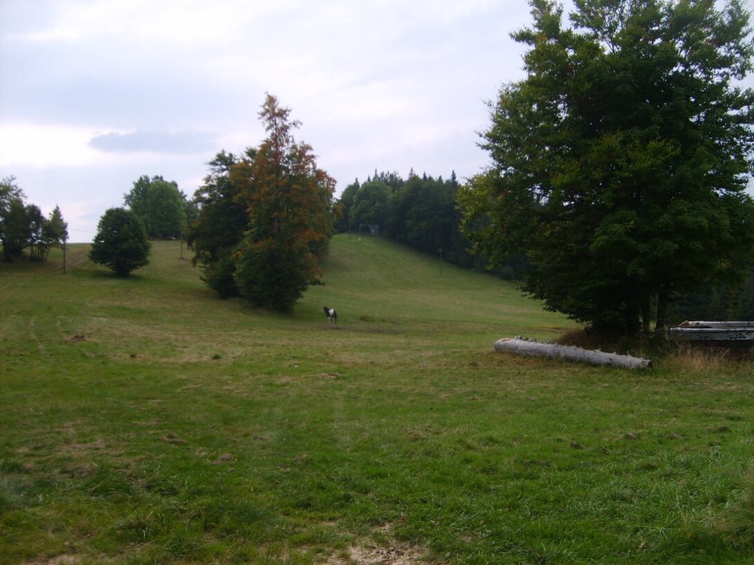 S5003687.JPG