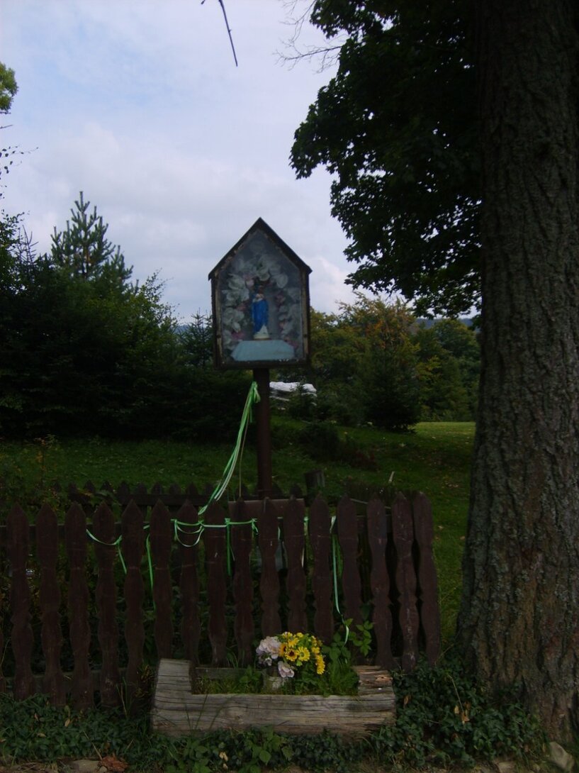 S5003689.JPG