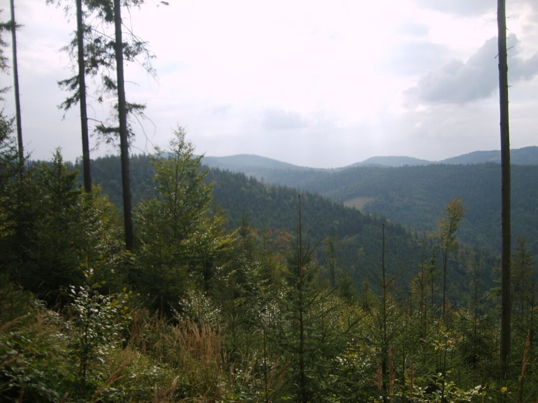 S5003691.JPG