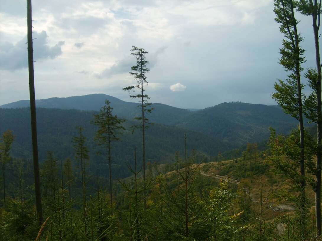 S5003692.JPG