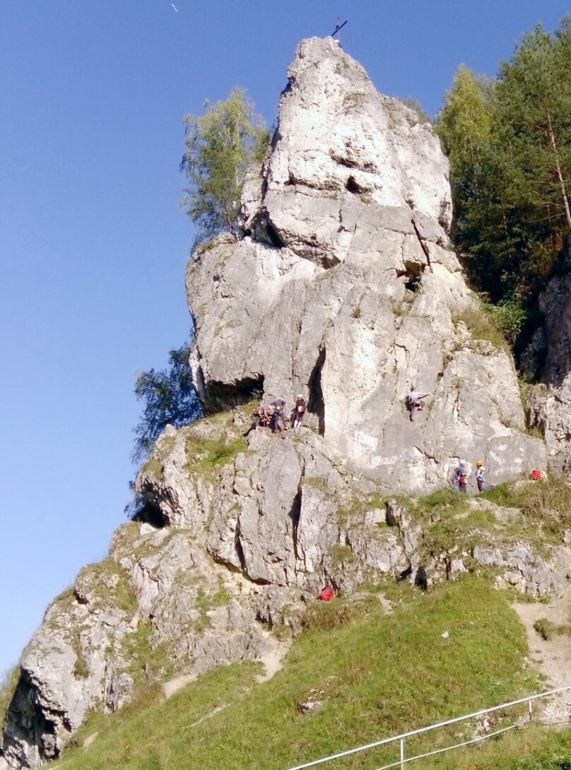 Żabi koń.jpg
