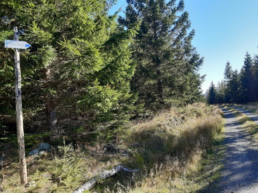 20211009_134504.jpg