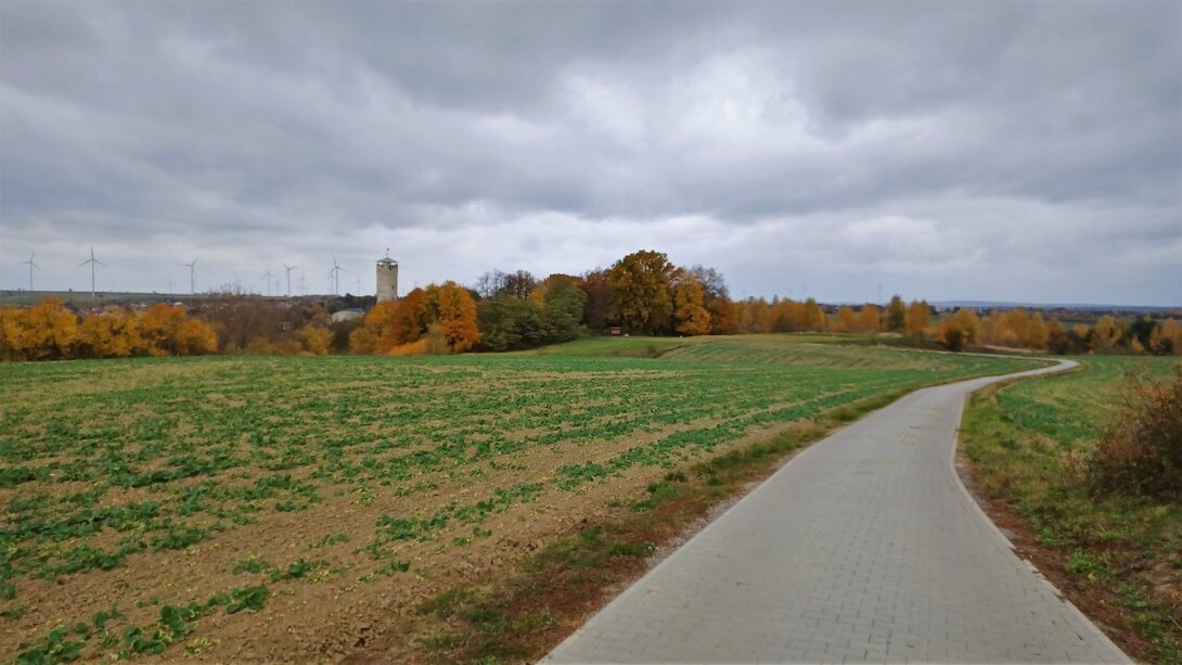 20211023_122230.thumb.jpg.5fa6c00964bd1c744b6393d55514f4a3.jpg