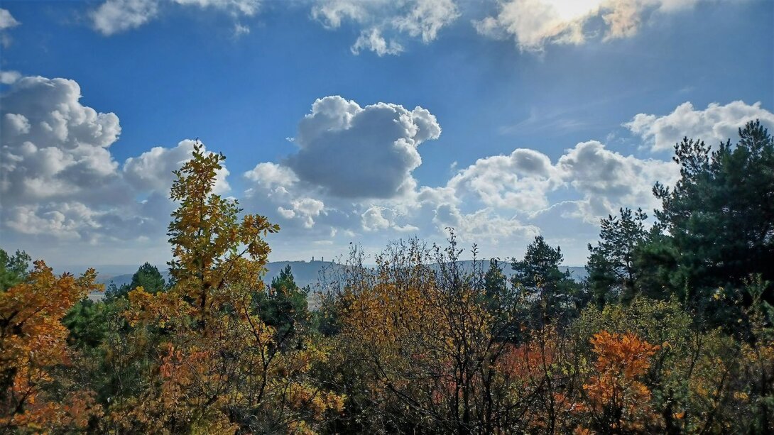 20211024_132117.thumb.jpg.d0ec2e9a2d785ea749feed8e19cd3ca1.jpg