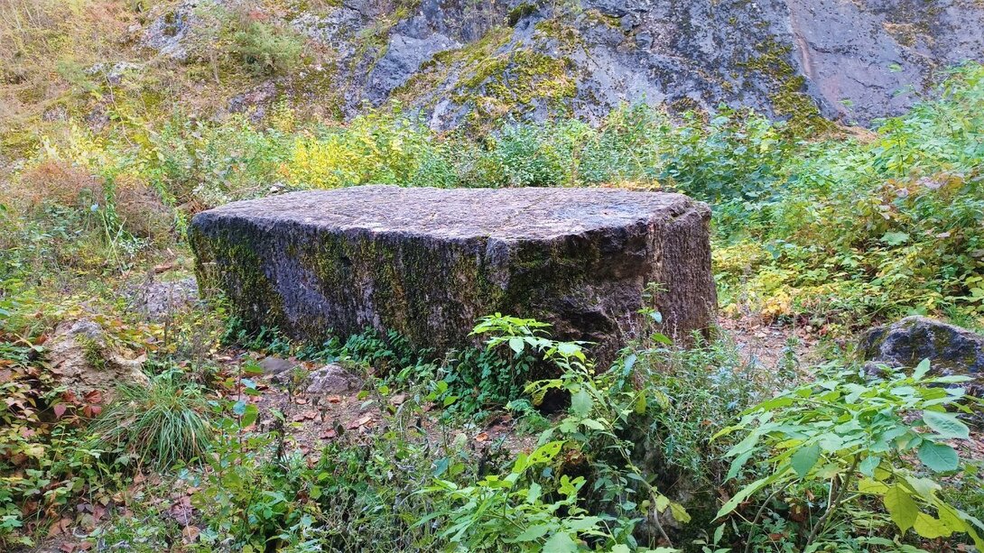 20211024_133334.thumb.jpg.ca59d2092de7ce081cfa5c5f935ccdec.jpg