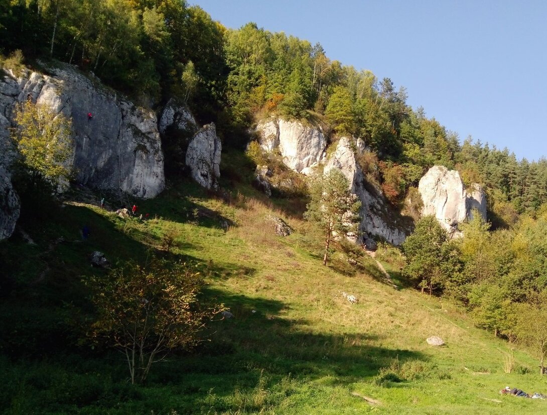 Turnia Długosza.jpg