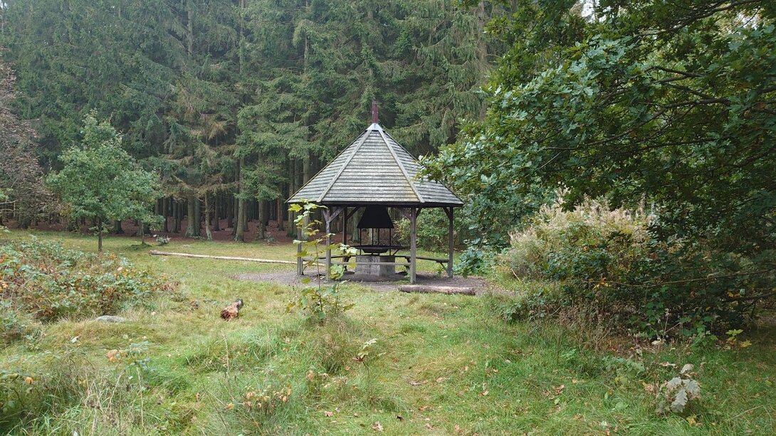 DSC_3591.JPG