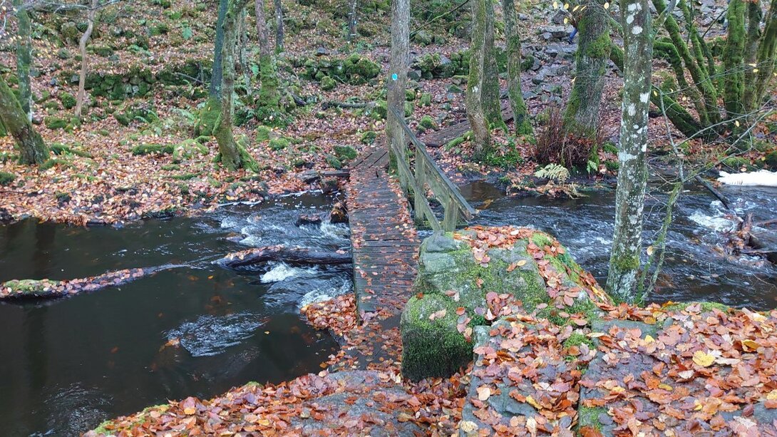 DSC_3758.JPG