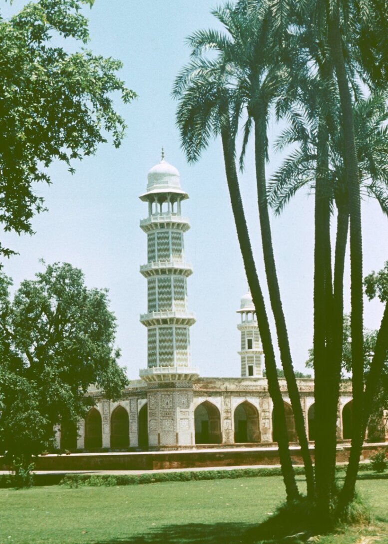 Palmy i minaret.jpg