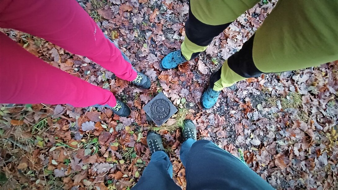 4.thumb.jpg.02b2037ebde18ab9206cedc8c6ae1187.jpg