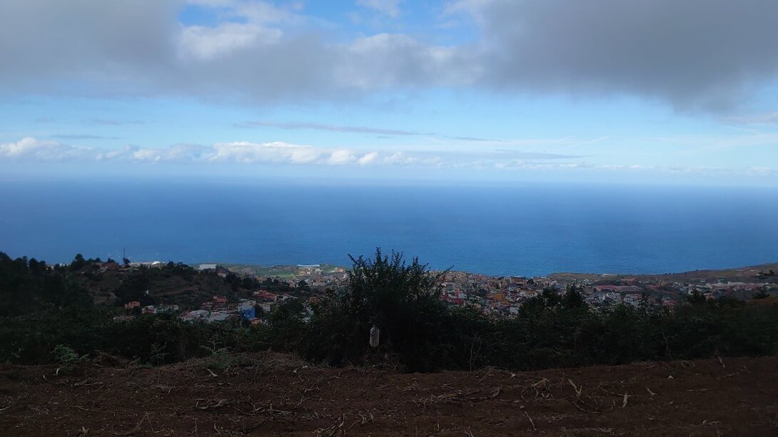 DSC_4014.JPG