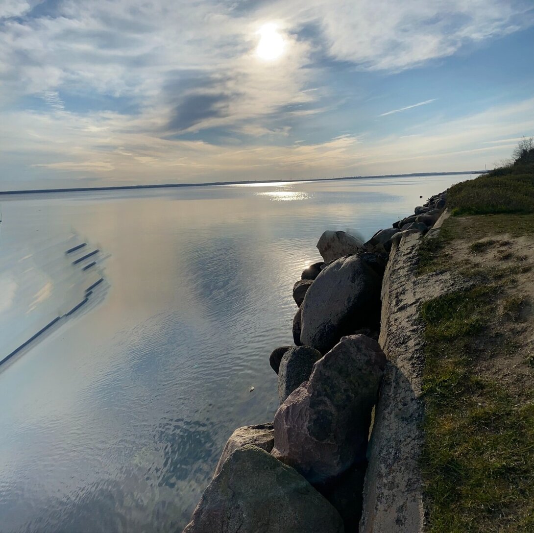 F2974188-9033-417F-ABD2-2192DE6B571F.thumb.jpeg.2ae9f934691a6c47cce02470c7c5e1ca.jpeg