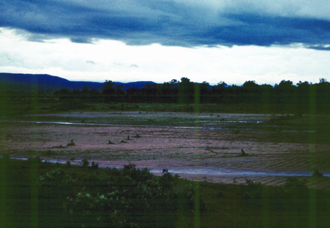 Monsun.JPG