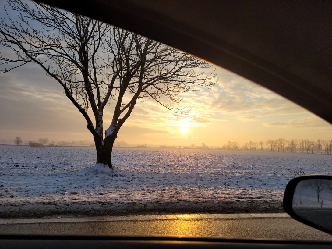 20211210_082014.thumb.jpg.869f535570a8e95cfae1471b8c3424f7.jpg