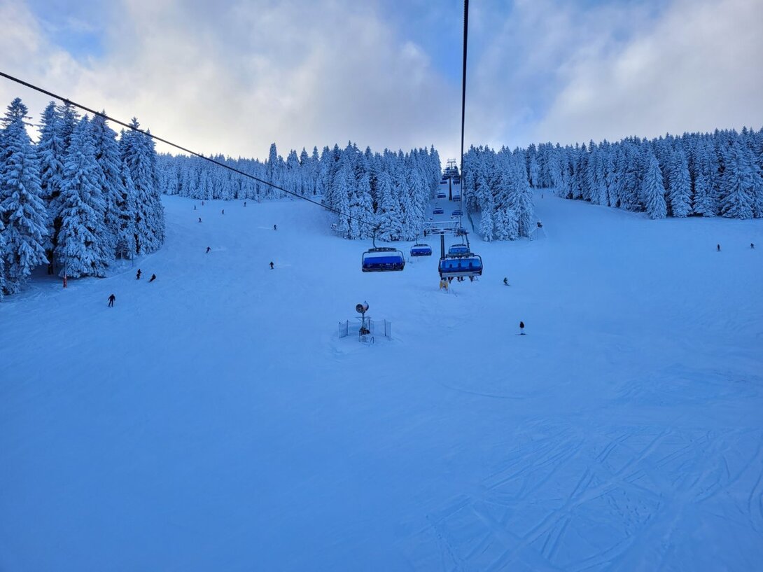 20211210_140253.thumb.jpg.eb9ea829f197880e4e17d9697897c5c6.jpg