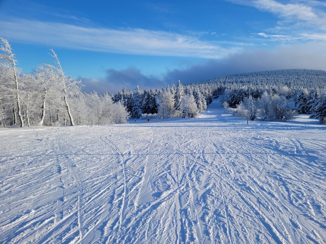 20211210_141714.thumb.jpg.5e1c2de8098fa1b9913c1500239cb8b0.jpg