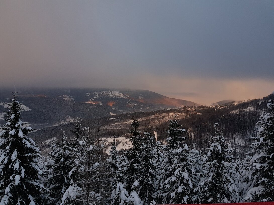 20211211_075833.thumb.jpg.7cf53529aaa6b15506e17797e265c110.jpg