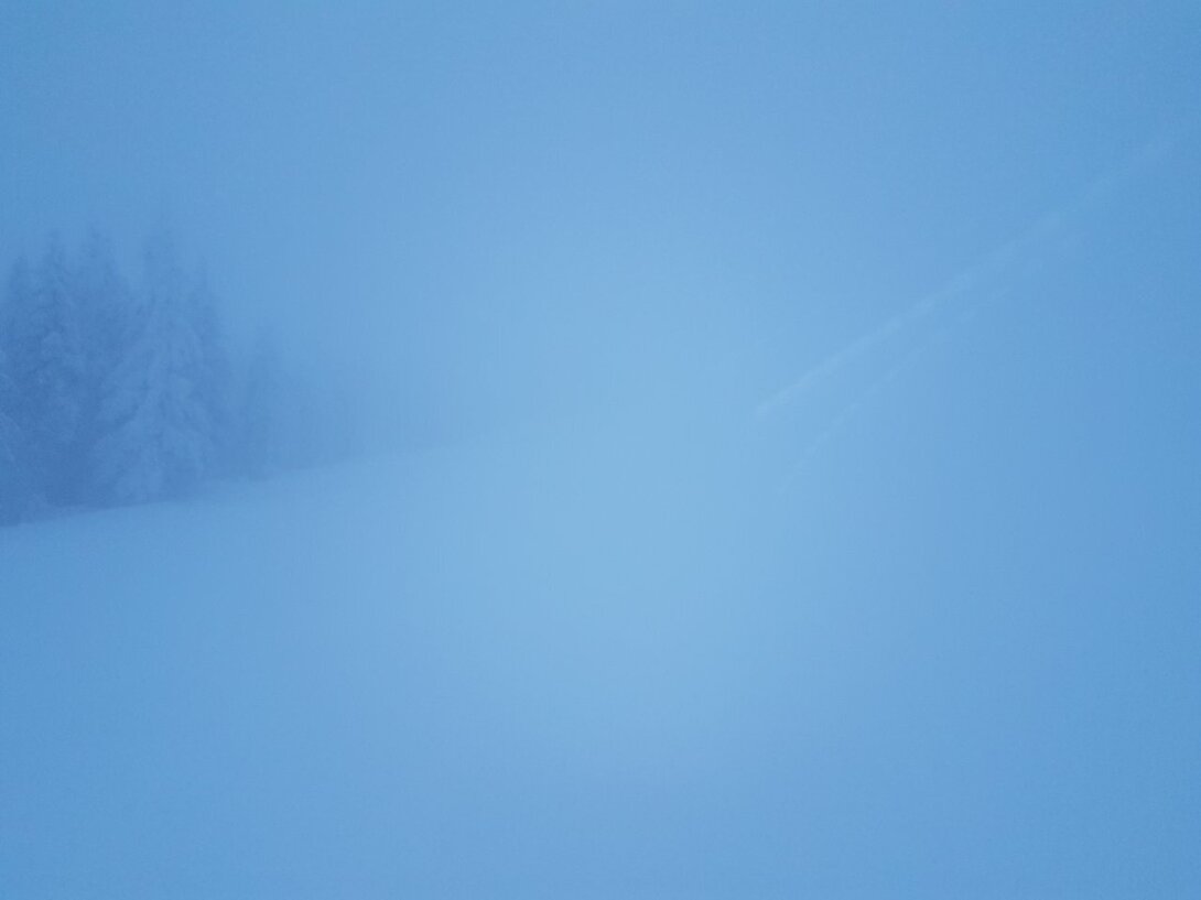 20211222_071737.thumb.jpg.96bdbe37c190a6346e119ca347811ee9.jpg