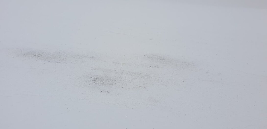 20211229_101812.jpg