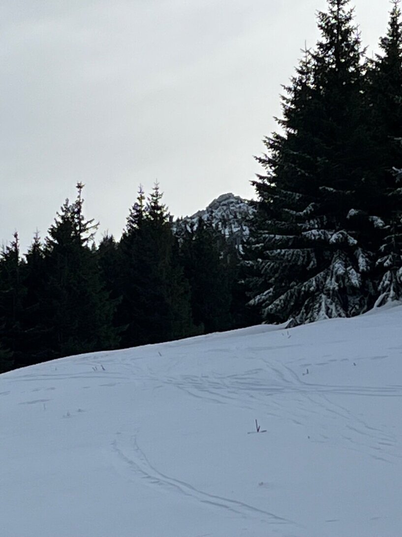 2817E617-EA53-40ED-8B18-D14BB05F03F5.jpeg