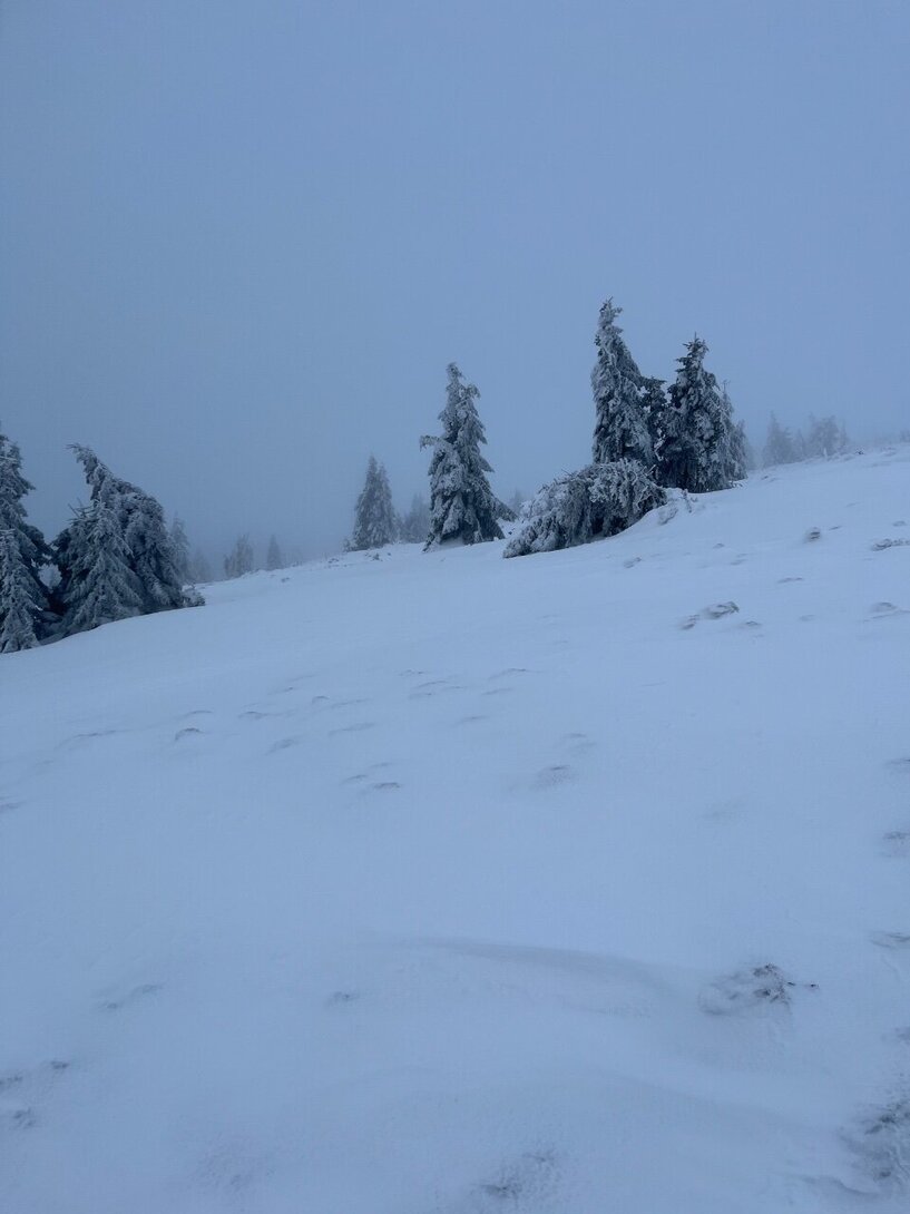 890827B5-4612-45F6-B8B7-7E2E0DEC1D8F.jpeg