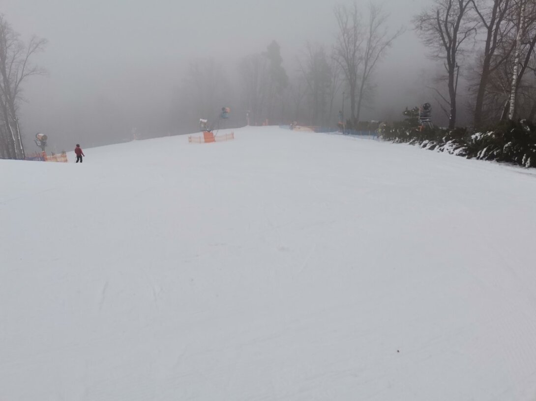 IMG_20211212_092459.jpg