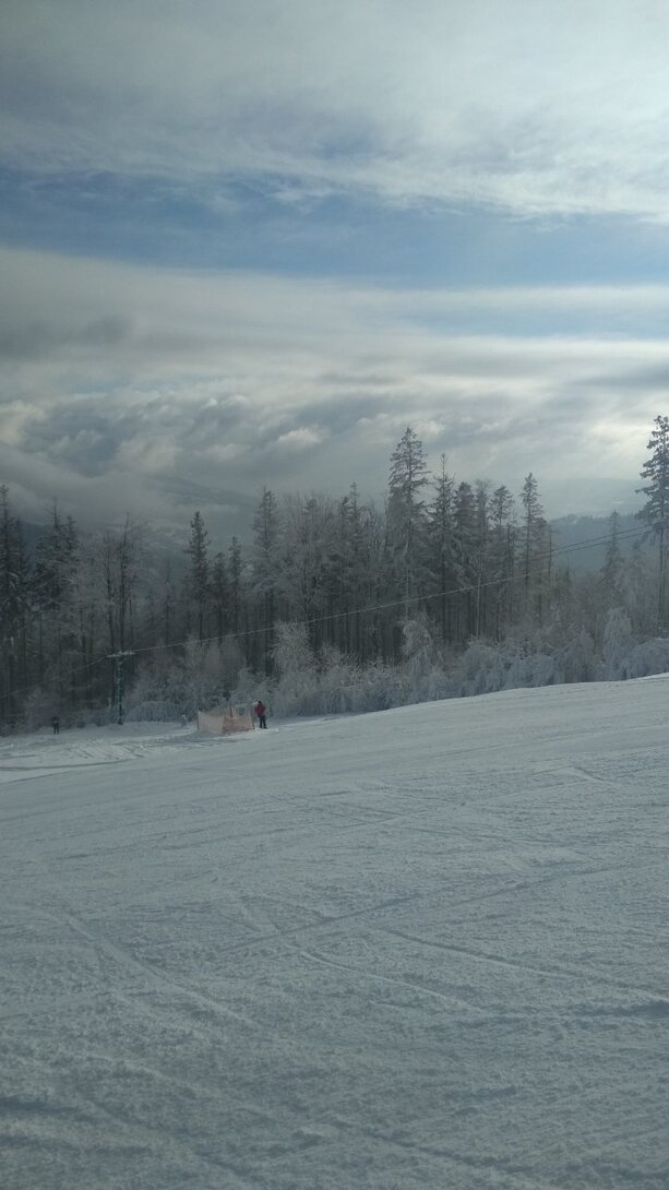 IMG_20211212_110537.jpg