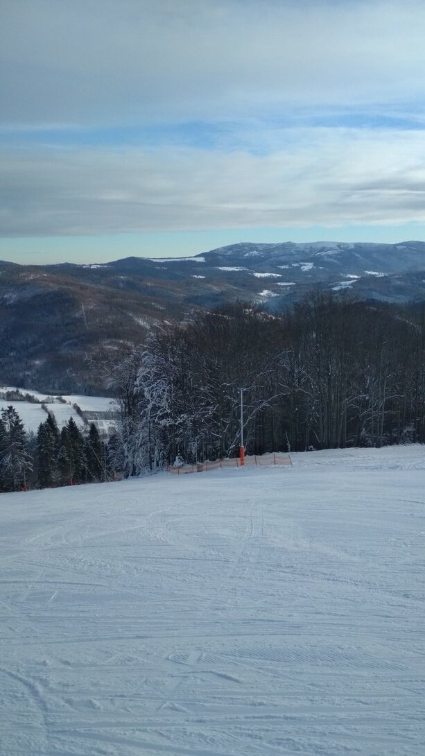 IMG_20211213_095456.jpg