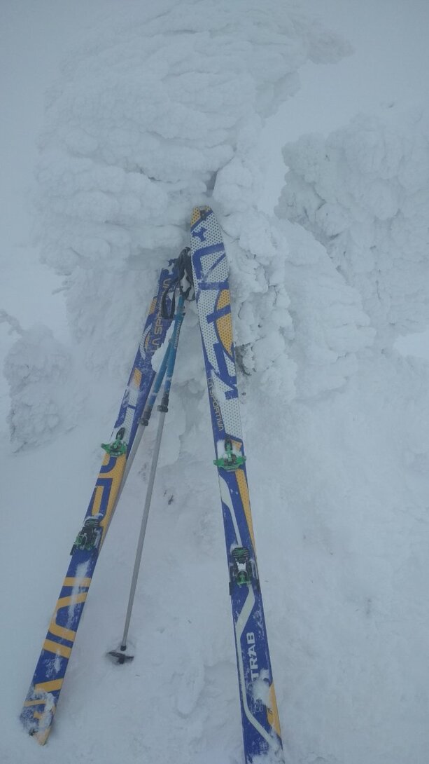 IMG_20211220_125348.jpg