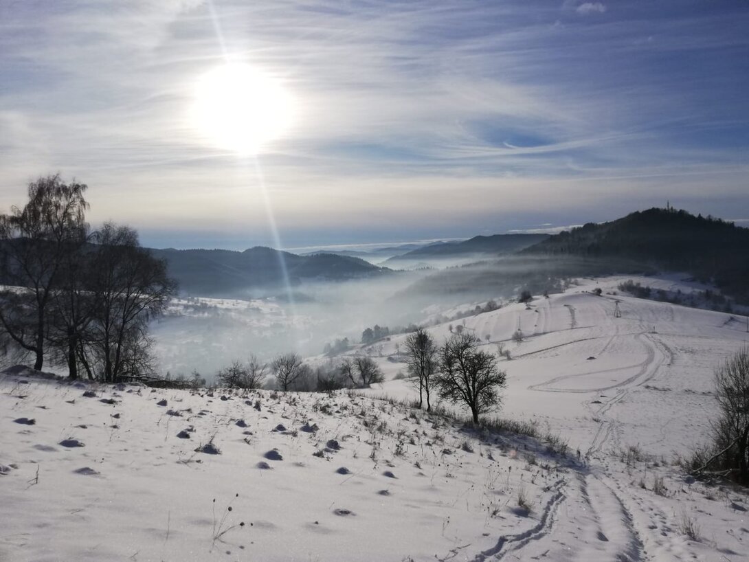 SAVE_20211228_023620.jpg