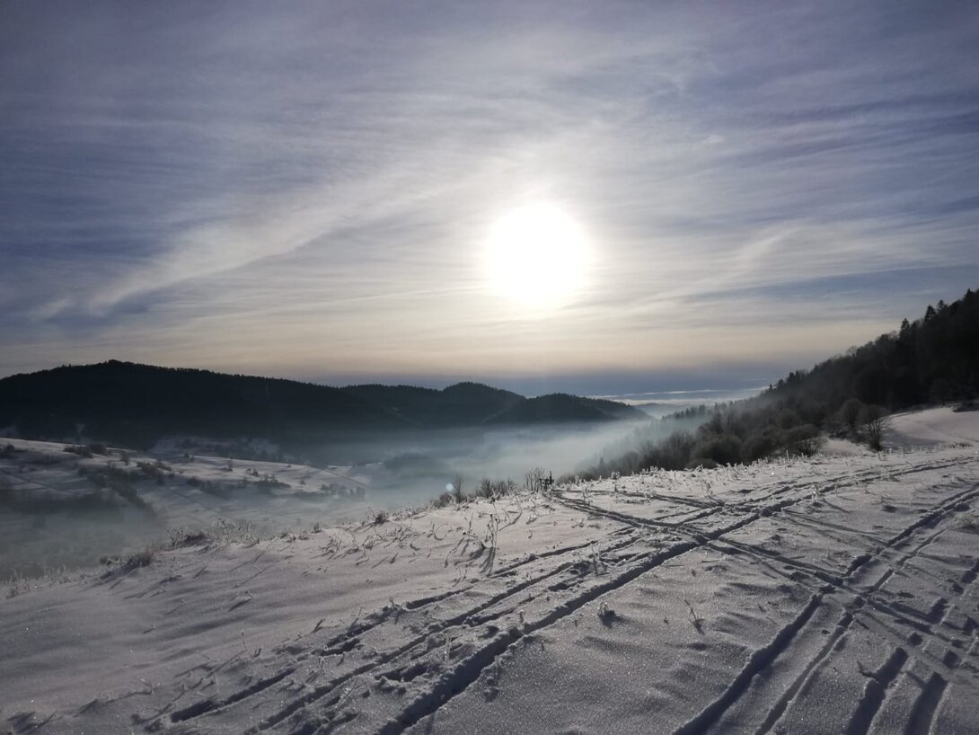 SAVE_20211228_023636.jpg