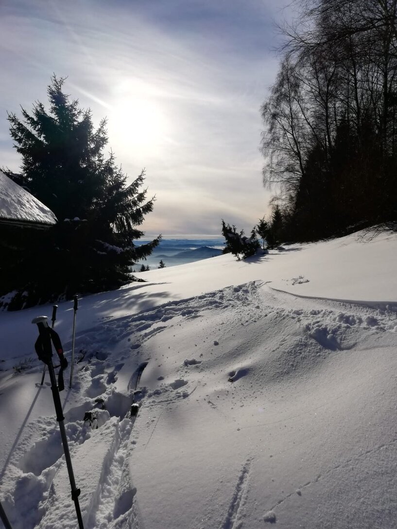 SAVE_20211228_075143.jpg