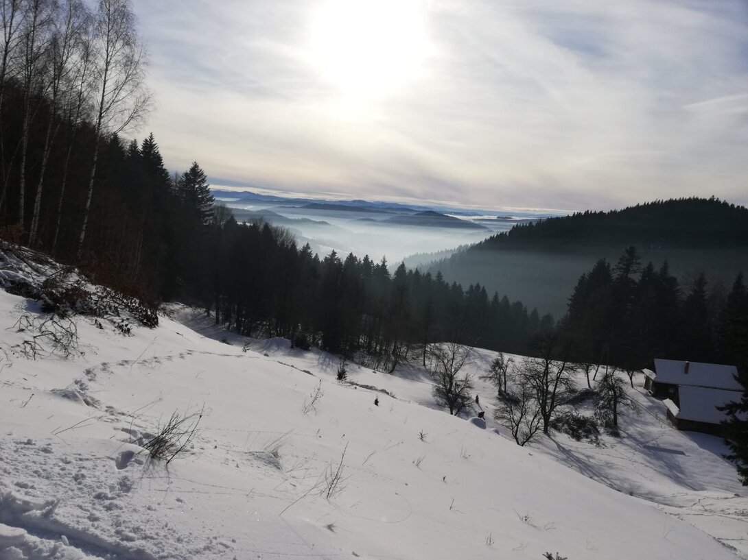 SAVE_20211228_075159.jpg