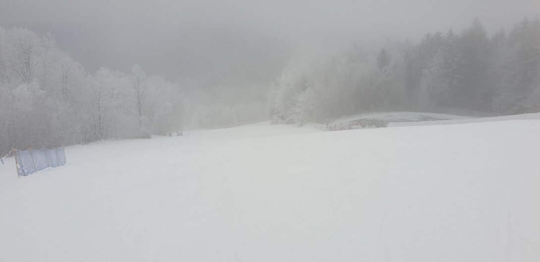 20220112_130546.jpg