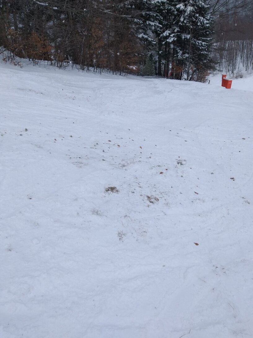 20220123_105429.thumb.jpg.11a6e327e463725b3aaa1c882dc4b3fa.jpg