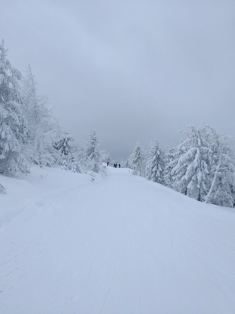 20220123_120418.thumb.jpg.3cccf731382364b4a9c227584d041655.jpg