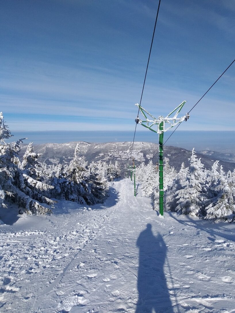 20220124_112716.thumb.jpg.9cf48950e2fd887619bfdd7445e08855.jpg