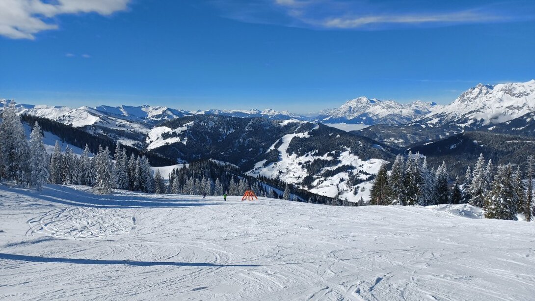20220124_123818.thumb.jpg.c11b69d4c2a560ad7e67fc6f30de1f75.jpg