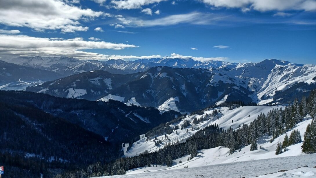 20220124_125321.thumb.jpg.a6576e79701fa784b7d436d4e0ddef04.jpg