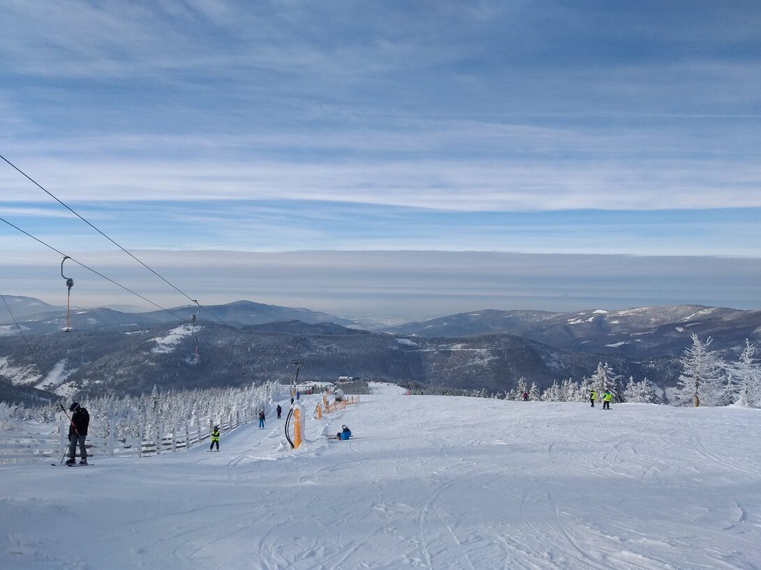 20220124_140431.thumb.jpg.535c7fa3a1eef8fcb3bc8f017f0fdbf9.jpg
