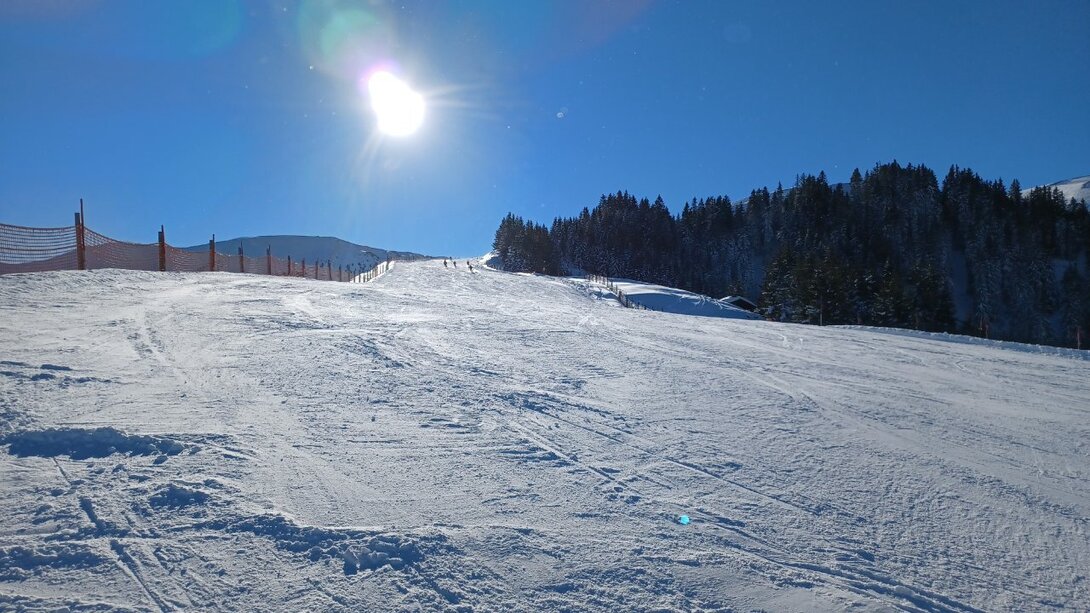 20220125_104246.thumb.jpg.f0e1674042612cc5f7576ce7a27669b5.jpg