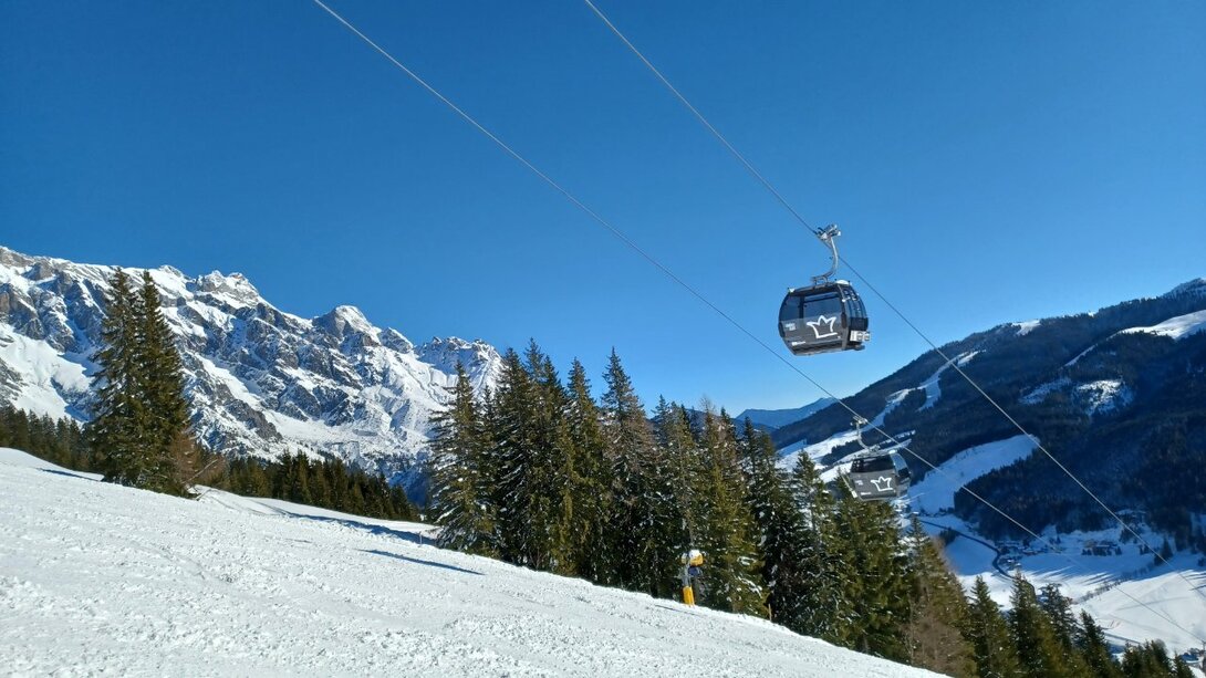 20220125_113019.thumb.jpg.a90c1ba19a987d6aeb7a3bcd87f6c83c.jpg