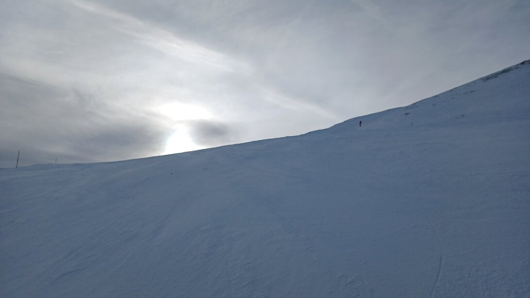 20220127_143349.thumb.jpg.4f9ef7e02c47e2b3758c745a6769b29e.jpg