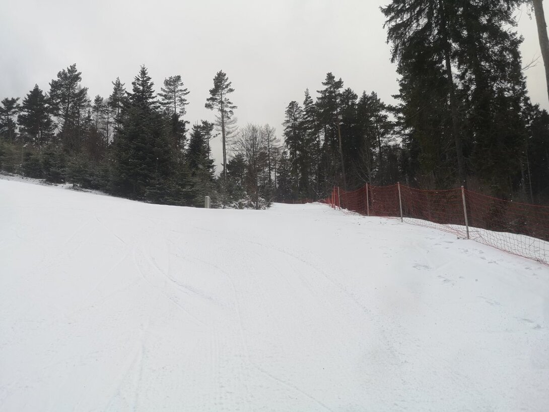 IMG_20220117_100002.jpg