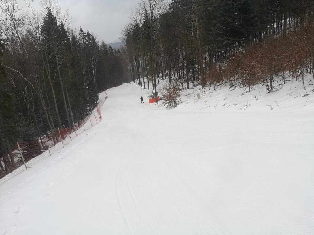 IMG_20220117_100015.jpg