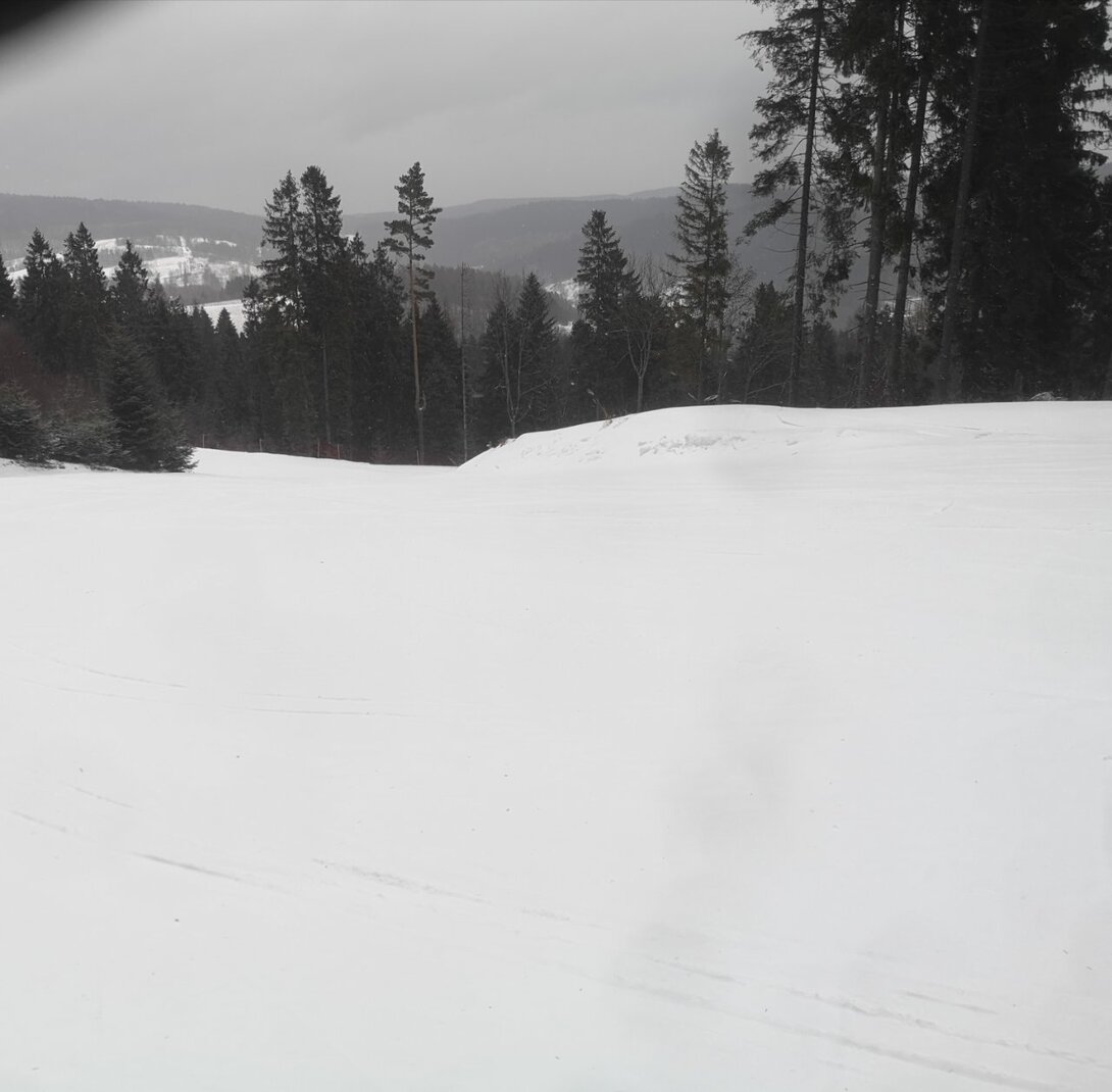 IMG_20220117_121441.jpg