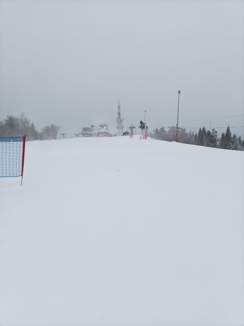 IMG_20220122_102649.jpg